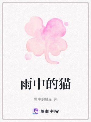 雨中的貓