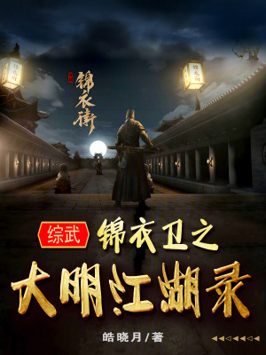 綜武：錦衣衛之大明江湖錄