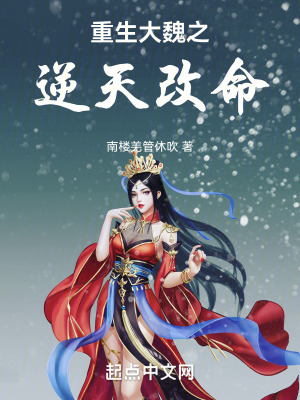 重生大魏之逆天改命