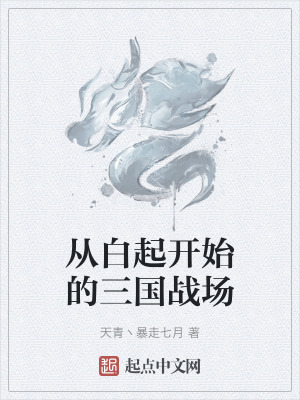 從白起開始的三國戰場