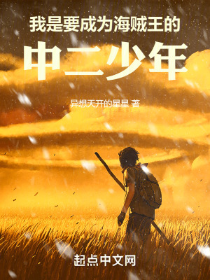 我是要成為海賊王的中二少年