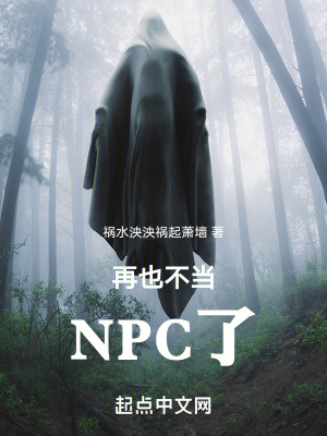 再也不當NPC了 再也不當NPC了