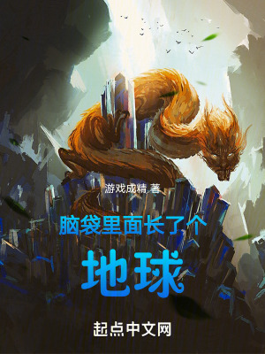 腦袋裏麵長了個地球
