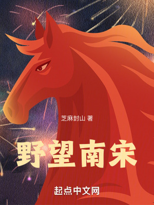 野望南宋 野望南宋