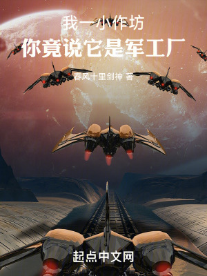 我一小作坊,你竟說它是軍工廠 我一小作坊,你竟說它是軍工廠