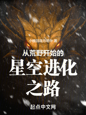 從荒野開始的星空進化之路