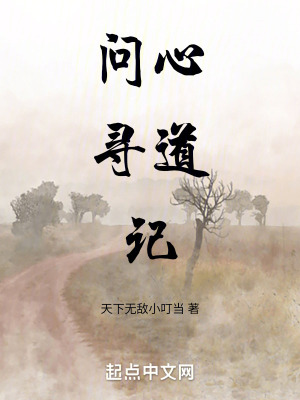 問心尋道記