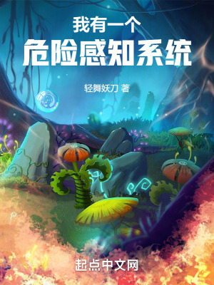 我有一個危險感知係統