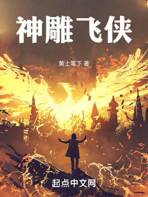 神雕飛俠 神雕飛俠