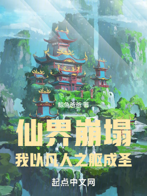 仙界崩塌：我以凡人之軀成聖