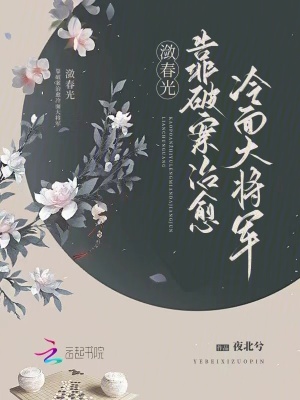 靠破案治愈冷麵大將軍