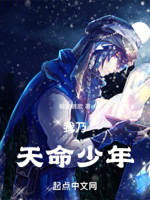 我乃天命少年