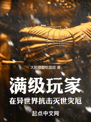 滿級玩家在異世界抗擊滅世災厄 滿級玩家在異世界抗擊滅世災厄