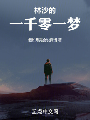 林沙的一千零一夢