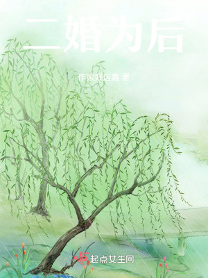 二婚為後