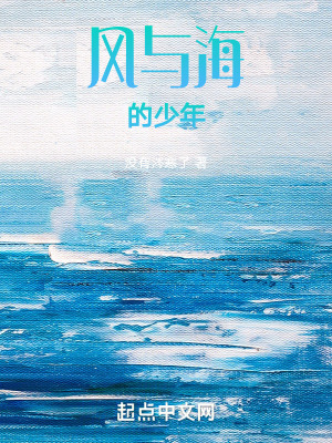 風與海的少年