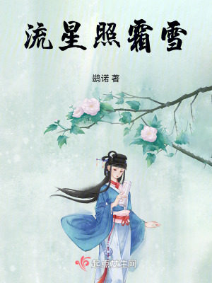 流星照霜雪