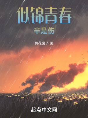 似錦青春半是傷