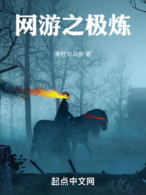 網遊之極煉 網遊之極煉