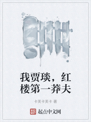 我賈琰，紅樓第一莽夫