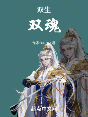 雙生雙魂
