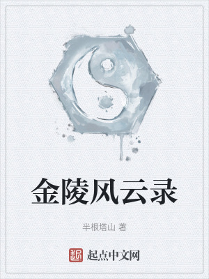 金陵風雲錄 金陵風雲錄