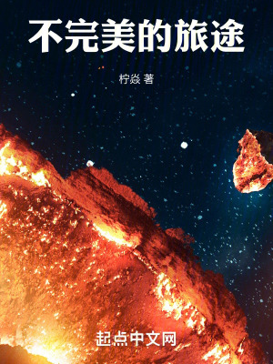 不完美的旅途