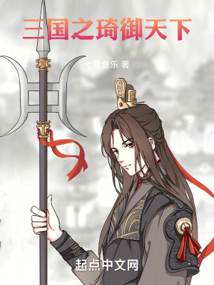 三國之琦禦天下