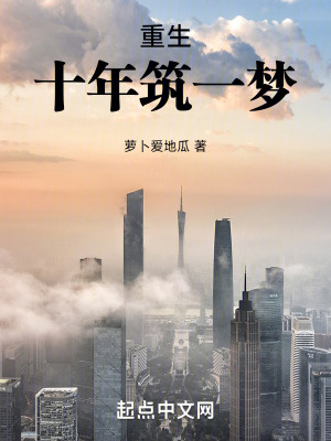 重生：十年築一夢