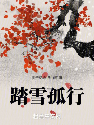 踏雪孤行 踏雪孤行