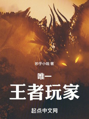 唯一王者玩家 唯一王者玩家