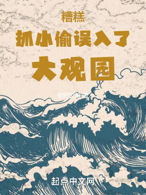 糟糕!抓小偷誤入了大觀園 糟糕!抓小偷誤入了大觀園