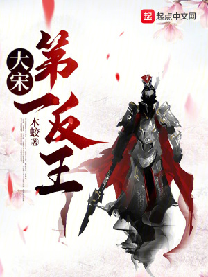 大宋第一反王 大宋第一反王
