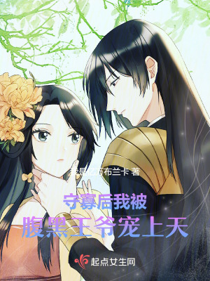 守寡後我被腹黑王爺寵上天 守寡後我被腹黑王爺寵上天