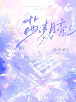 鹽漬月亮 鹽漬月亮