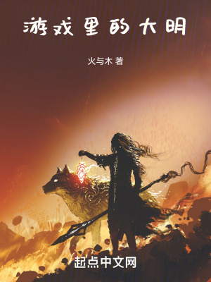 遊戲裏的大明 遊戲裏的大明