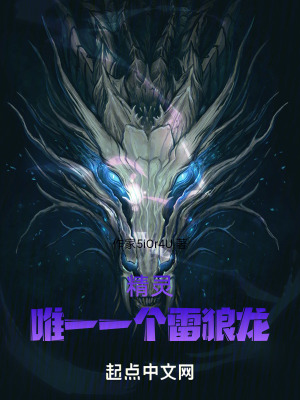 精靈:唯一一個雷狼龍 精靈:唯一一個雷狼龍