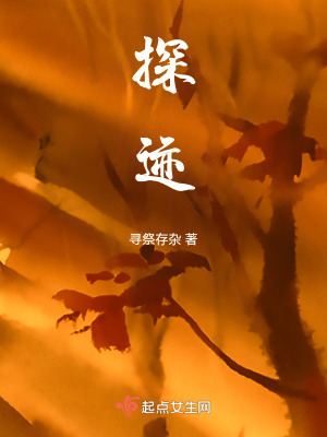 探跡 探跡