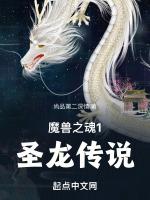 魔獸之魂1聖龍傳說 魔獸之魂1聖龍傳說
