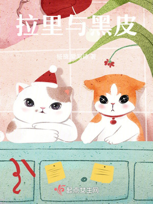 拉裏與黑皮 拉裏與黑皮