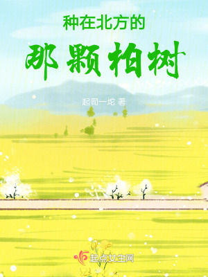 種在北方的那顆柏樹