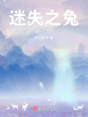 迷失之兔 迷失之兔