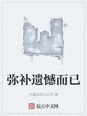 彌補遺憾而已 彌補遺憾而已