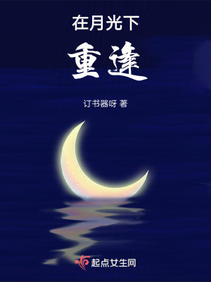 在月光下重逢 在月光下重逢