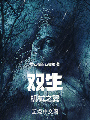 雙生:機械之翼 雙生:機械之翼