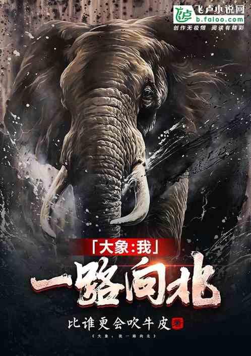大象:我一路向北 大象:我一路向北