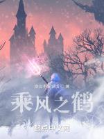 乘風之鶴 乘風之鶴