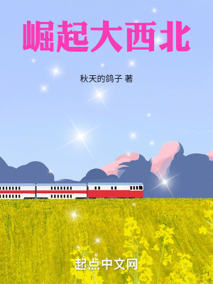 崛起大西北 崛起大西北