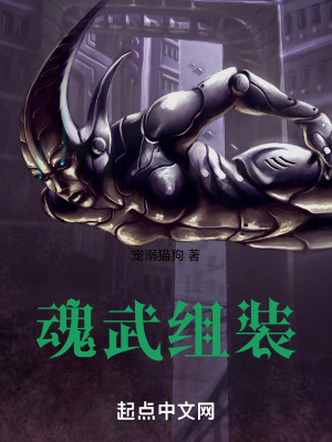 魂武組裝 魂武組裝