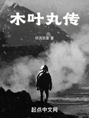 木葉丸傳 木葉丸傳